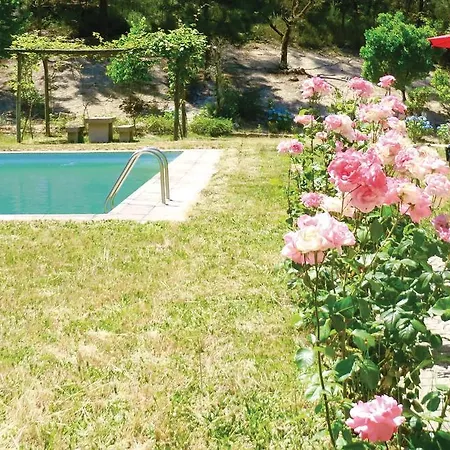 Holiday 02 Oliveira de Frades
