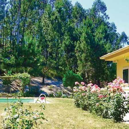 Holiday 02 Oliveira de Frades